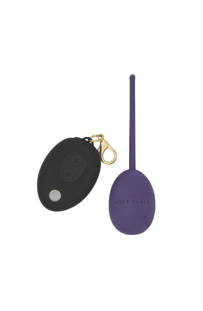 Love Egg - Remote Controlled Rechargeable Vibrator (Aubergine)
