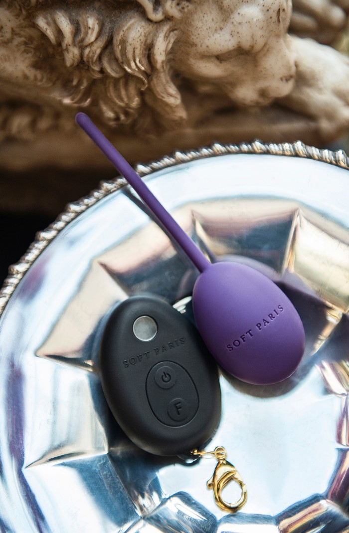 Love Egg - Remote Controlled Rechargeable Vibrator (Aubergine)