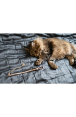 Voltaire - Travel Whip - Leather (Gold)