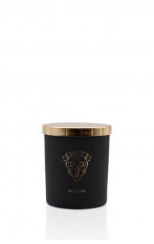 Exquise - Massage candle (Dewy Frangipani (Frangipani, Mimosa, Lily of the Valley))